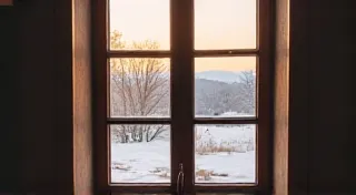 Hibernal Embrace: Protecting Your Juniper’s Soul Through Winter