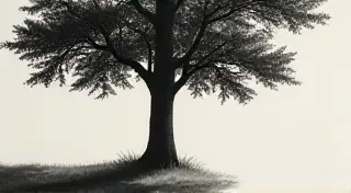 The Silhouette of Thought: Juniper Styling & Intentional Narrative